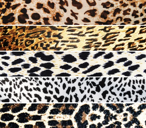 Set of Leopard textures — Stock Photo, Image