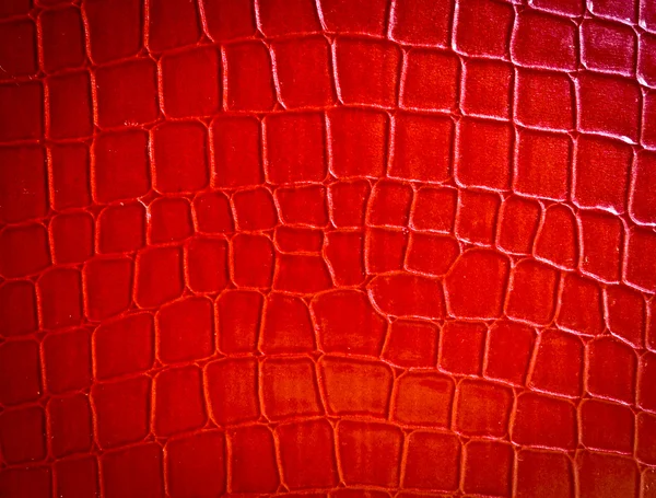 Animal skin texture — Stock Photo, Image