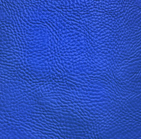 Texture blu della pelle — Foto Stock