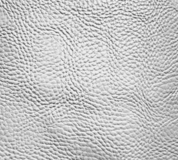 White skin texture — Stock Photo, Image