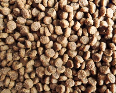 Köpek Gıda makro arka plan