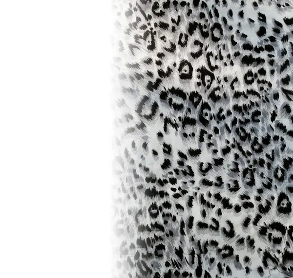 Patrón de piel de leopardo textura — Foto de Stock