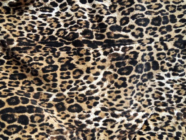 Leopard print background Stock Photos, Royalty Free Leopard print ...