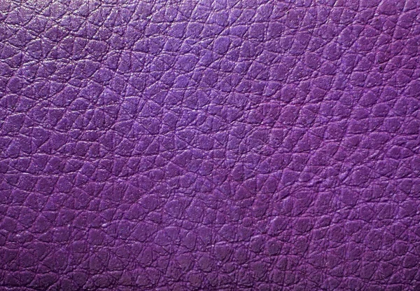 Texture de la peau pourpre — Photo