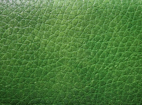 Texture de la peau verte — Photo