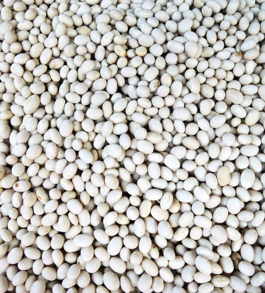 Soy bean background — Stock Photo, Image