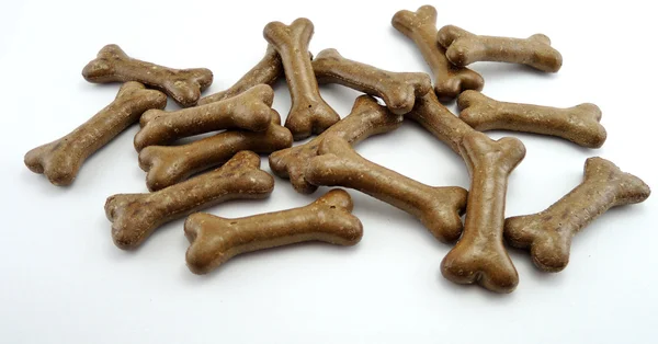 Pies żywność ciastek w kształcie kości — Zdjęcie stockowe