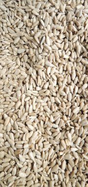 kurutulmuş soyulmuş Ayçiçek