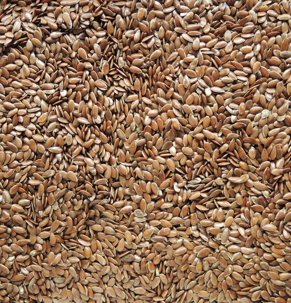 Linseed background — Stock Photo, Image