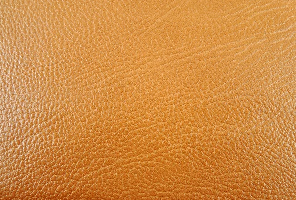 Animal skin texture — Stock Photo, Image