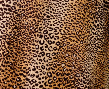 leopar arka plan