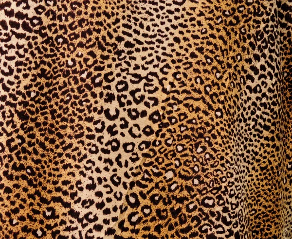 Fondo de leopardo — Foto de Stock