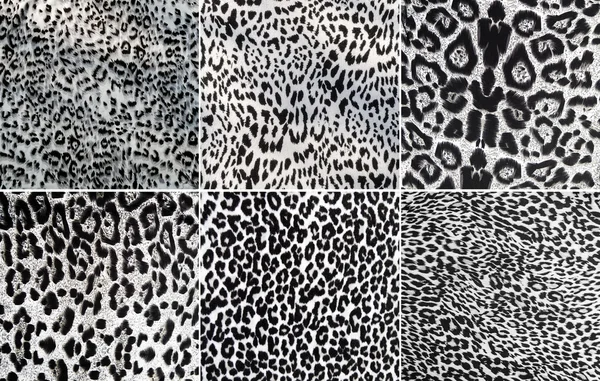 Animal pattern collage — Stock Photo, Image