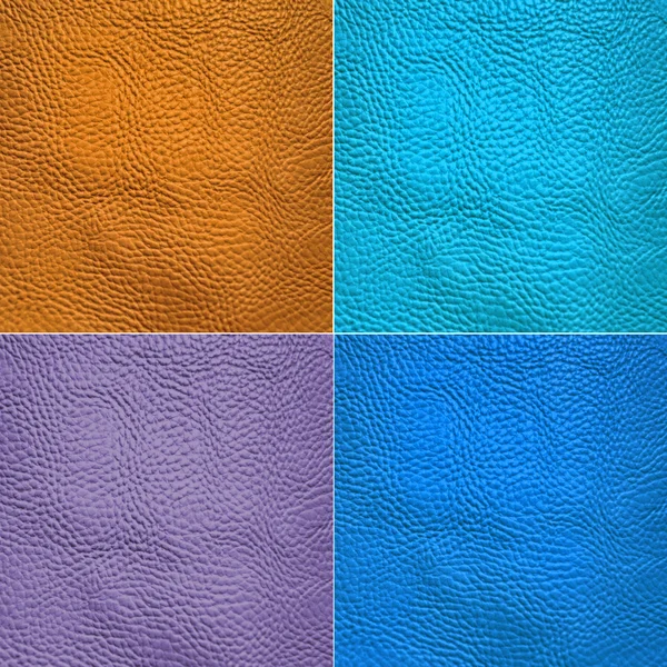 Collage of skin animal texture — Stock Photo, Image