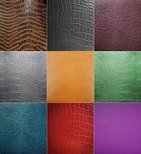 Collage of skin animal texture — Stock Photo, Image