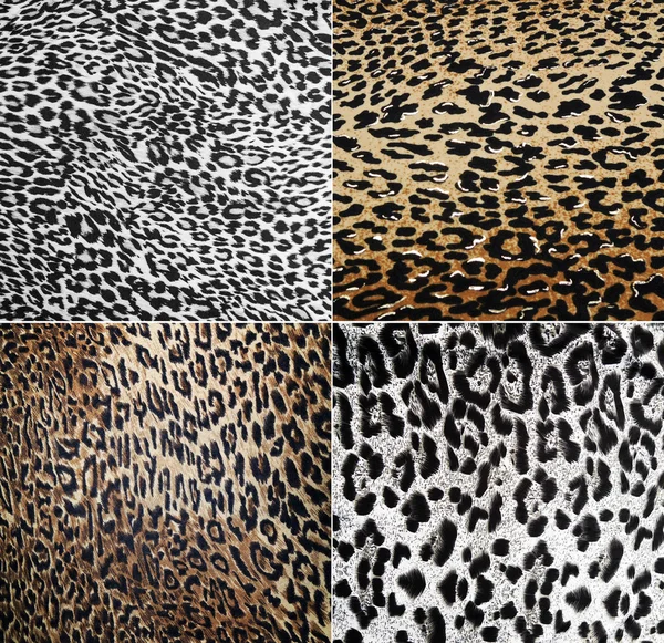 Wild Animal pattern collage — Stock Photo, Image