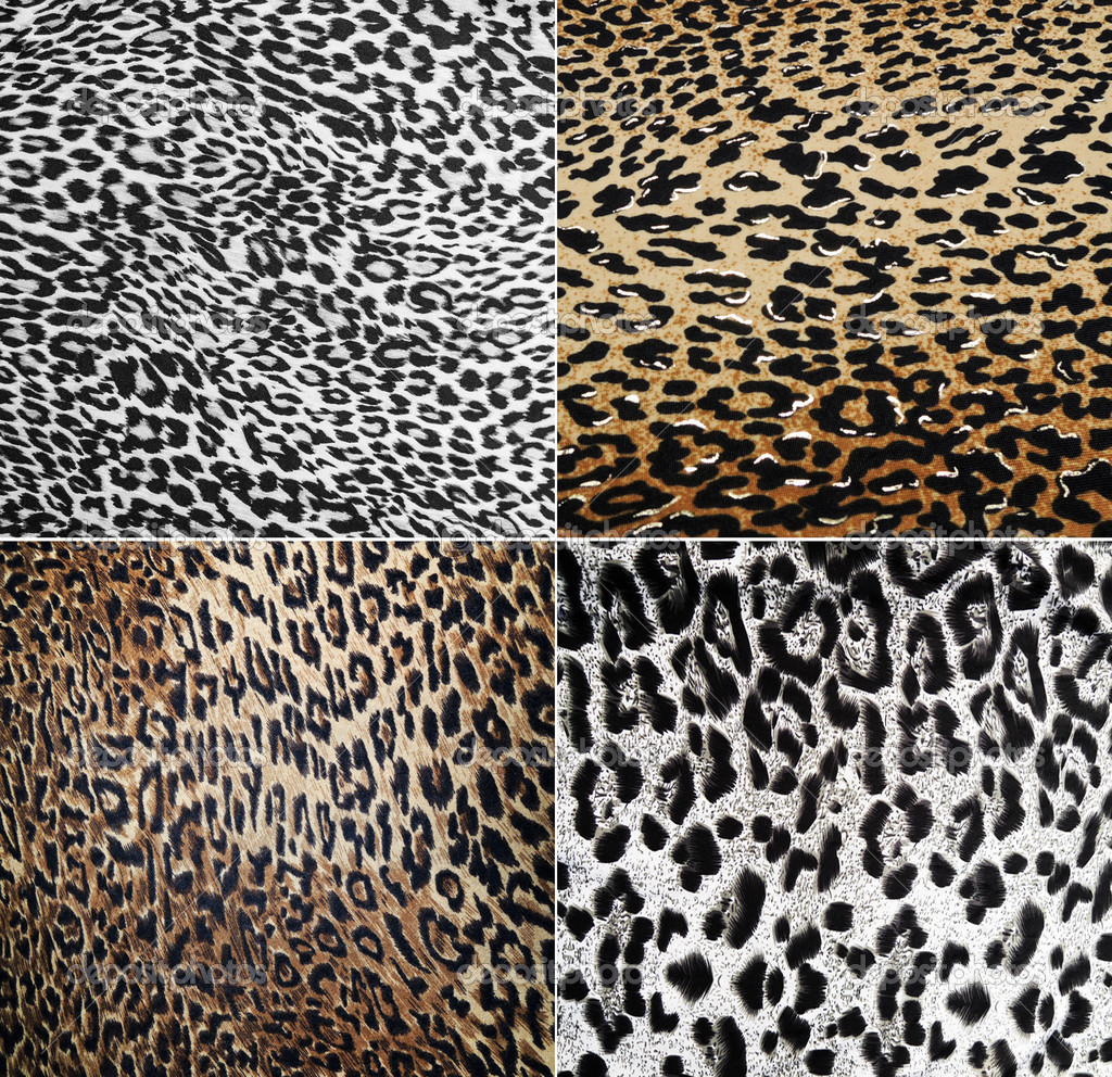 Wilde Tier Muster collage — Stockfoto © MalyDesigner #28728403