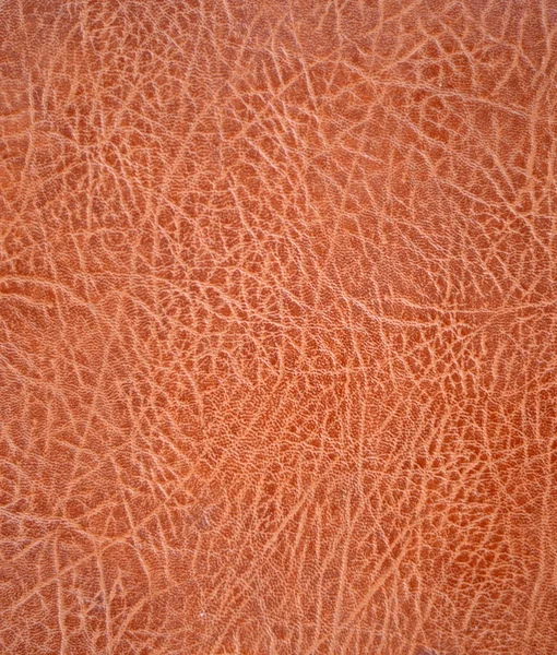 Leather texture or background — Stock Photo, Image