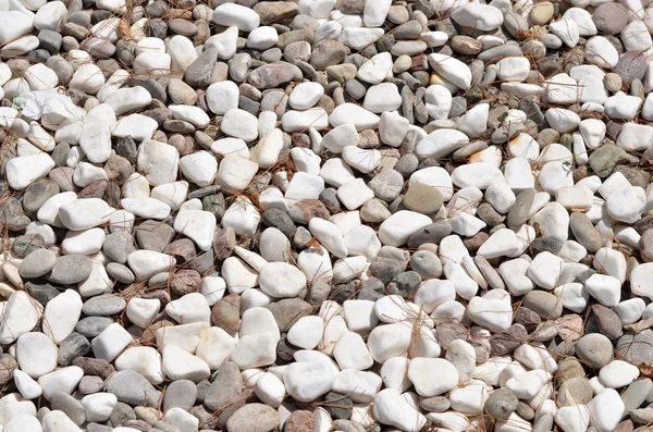 Fondo de piedra blanca (textura ) — Foto de Stock