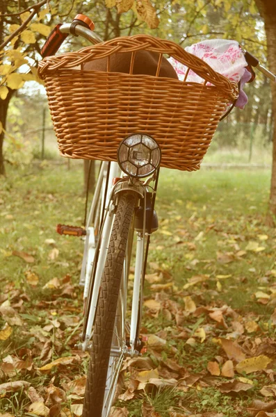 Old vintage bicycle — Stock Photo, Image