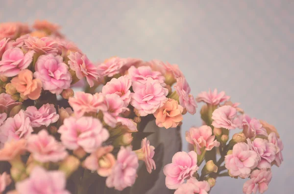 Vintage Bloemen — Stockfoto