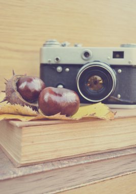 Vintage eski fotoğraf makinesi ve taze kestane