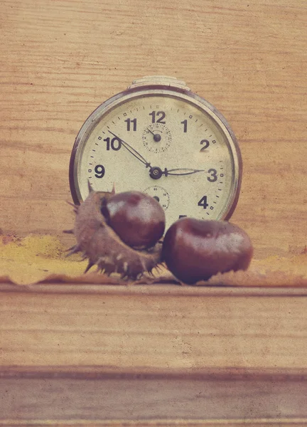 Altes Buch mit Kastanie und Uhr — Stockfoto