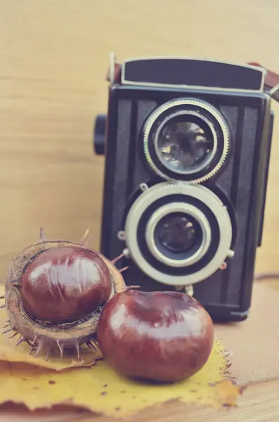 Old camera and fresh chestnut — ストック写真