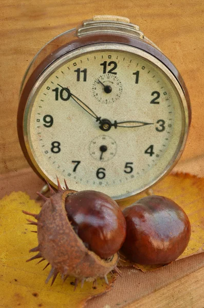 古い時計と栗 — ストック写真