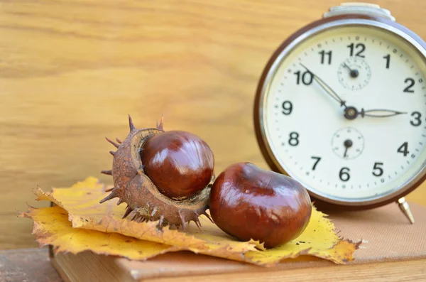 Gamla vintage klocka och chesnut — Stockfoto