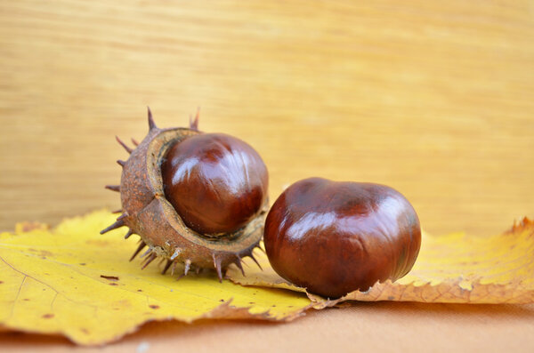 Some fresh chestnuts on wooden background