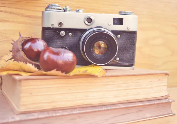 Vintage camera on book and chestnut — Stock Photo, Image