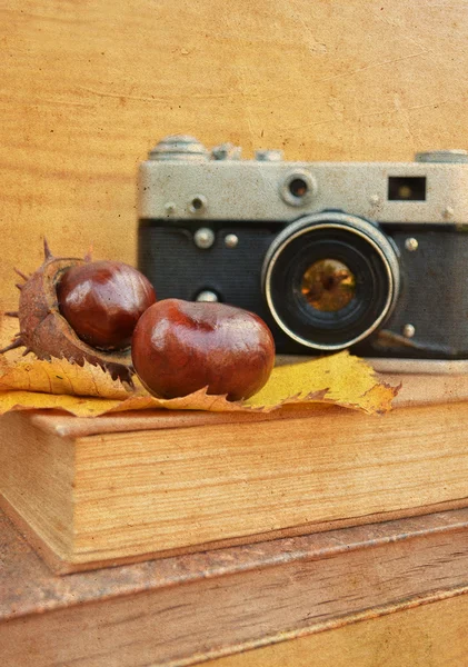 Vintage camera on book with chestnut — Stock Photo, Image