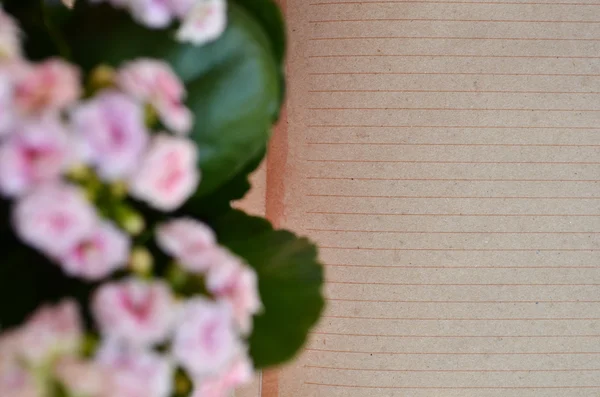 Vintage blommor med tomt utrymme för text — Stockfoto