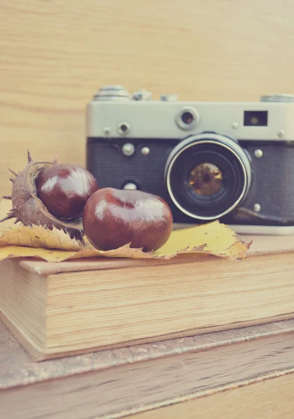 Alte Kamera und frische Kastanien — Stockfoto