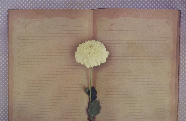 Libro viejo abierto con flor — Foto de Stock