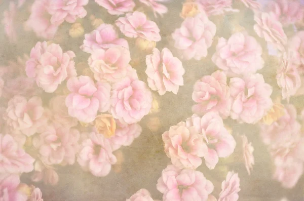 Vintage flores patrón de fondo — Foto de Stock