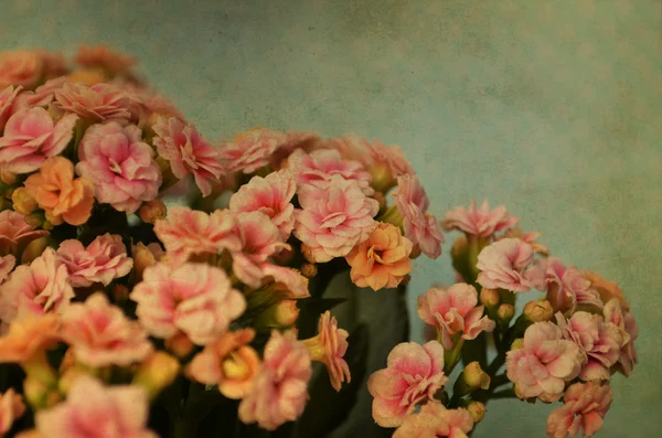 Vintage wzór kwiaty — Zdjęcie stockowe