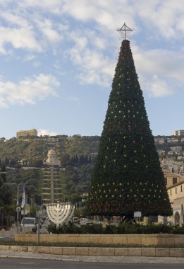 Noel ağacı arka planda bahai Tapınağı 1