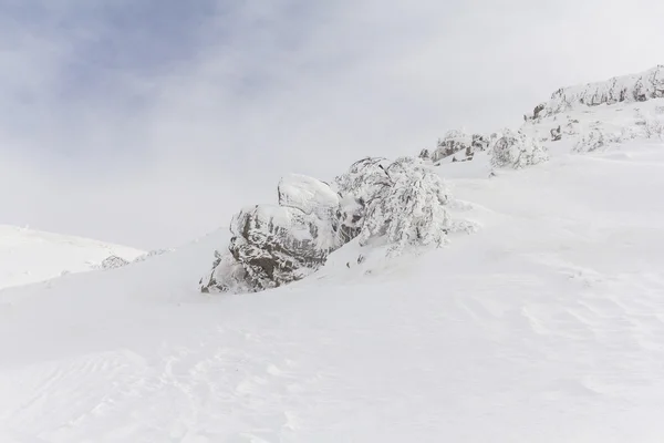Schneebedeckten Mount hermon — Stockfoto