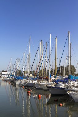 tekne, yat