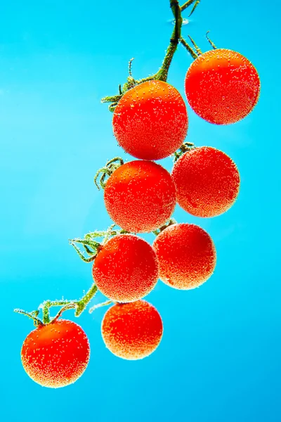 Tomaten onder water Rechtenvrije Stockfoto's