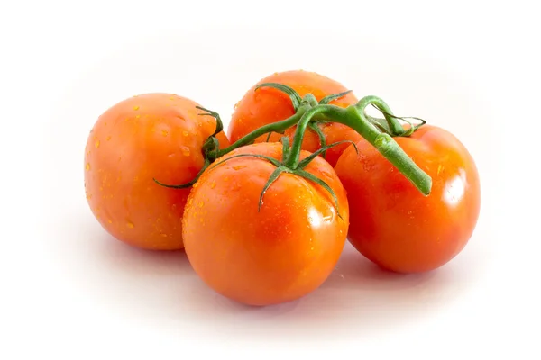 Zweig roter Tomaten — Stockfoto