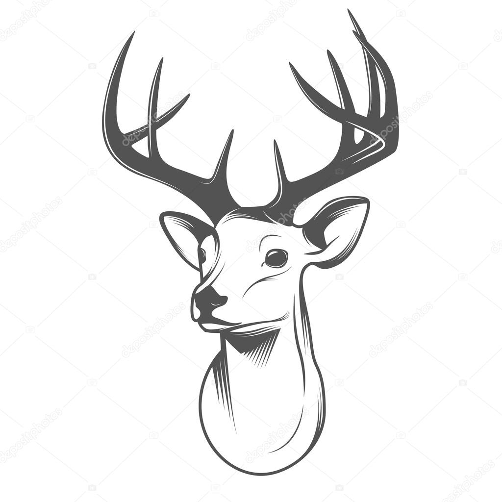 Deer head