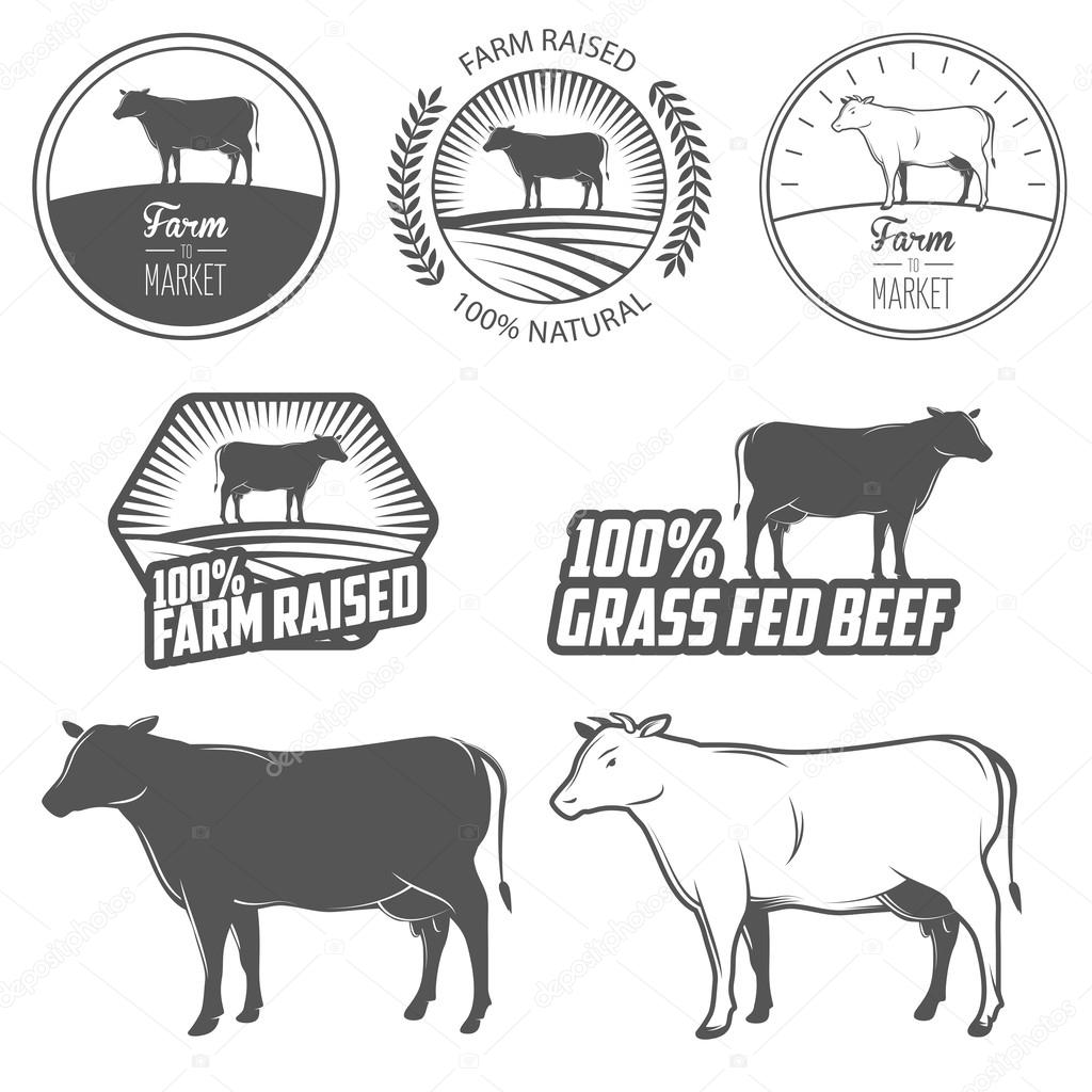 Set of beef labels, badges and design elements