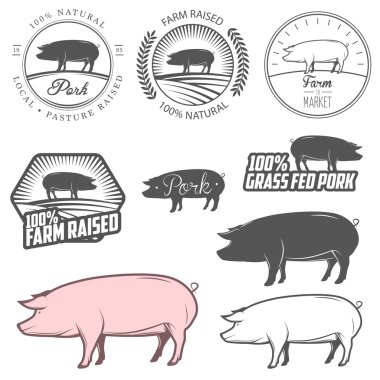 domuz eti etiketleri, rozetler ve tasarım öğeleri kümesi