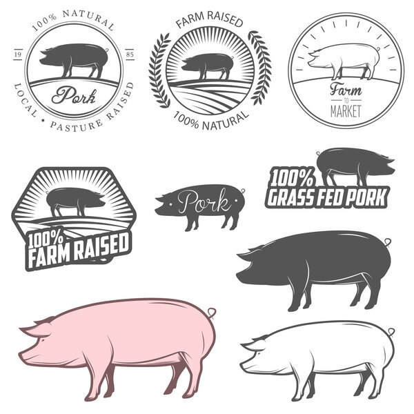 Set of pork labels, badges and design elements