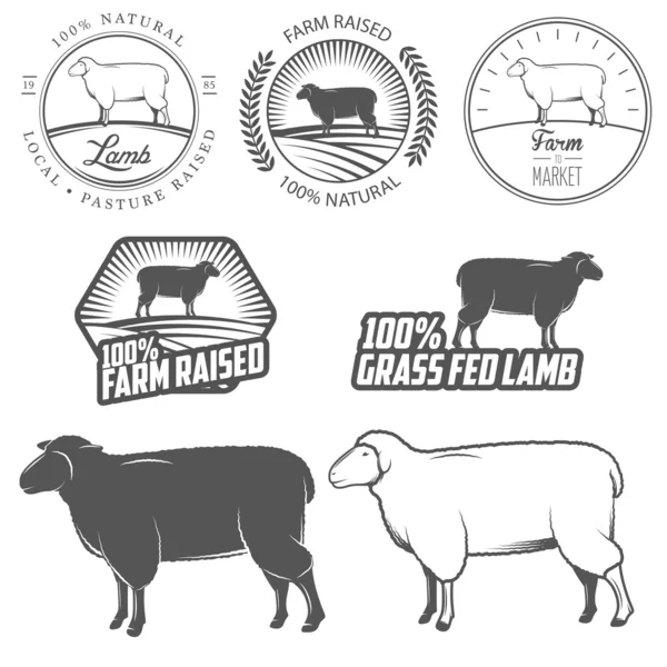 Set of premium lamb labels, badges and design elements — Stock Vector