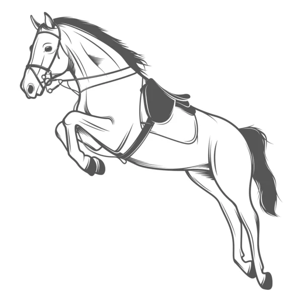 Salto caballo polo aislado sobre fondo blanco — Vector de stock