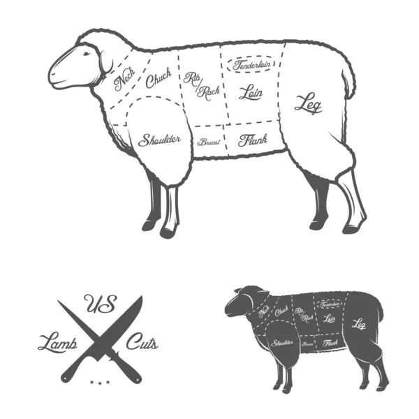 子羊肉または羊肉のダイアグラムのアメリカのカット — ストックベクタ